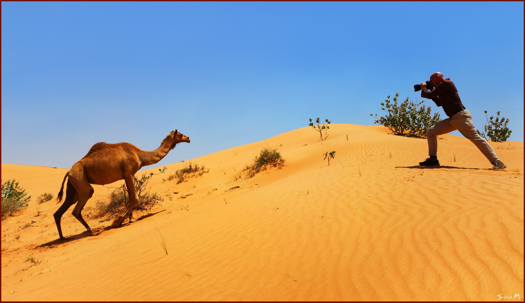 Marc Vorsatz · Al Wadi Desert