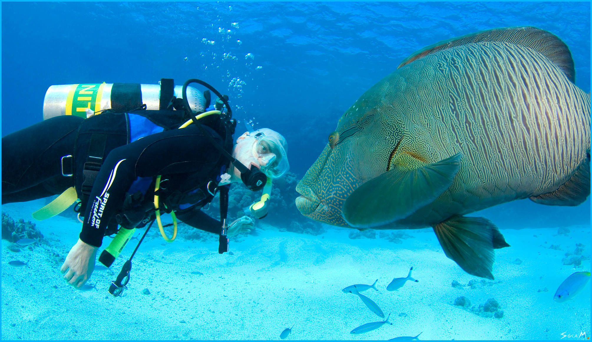 Marc Vorsatz &middot; Great Barrier Reef &middot; Australien